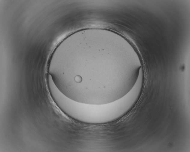 X0000114701480200912021057