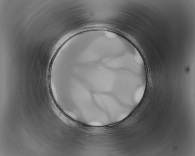 X0000114701482200912021057