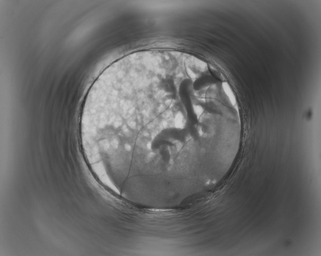 X0000114701483200912021057