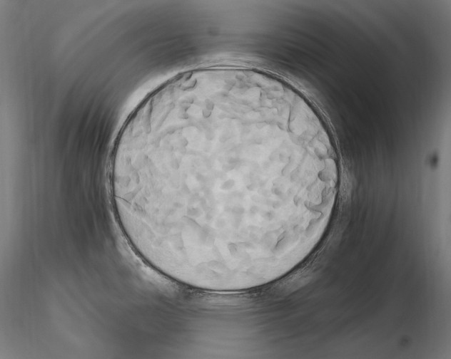 X0000114701486200912021057