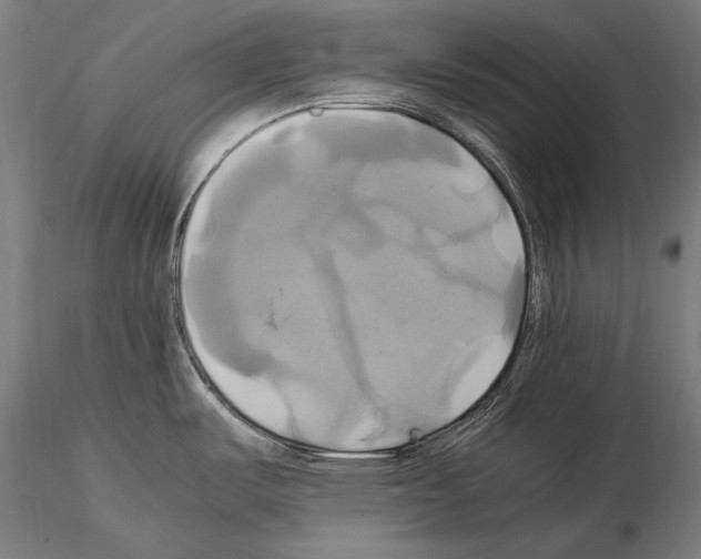 X0000114701487200912021057