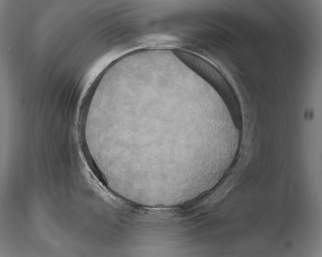 X0000114701488200912021057