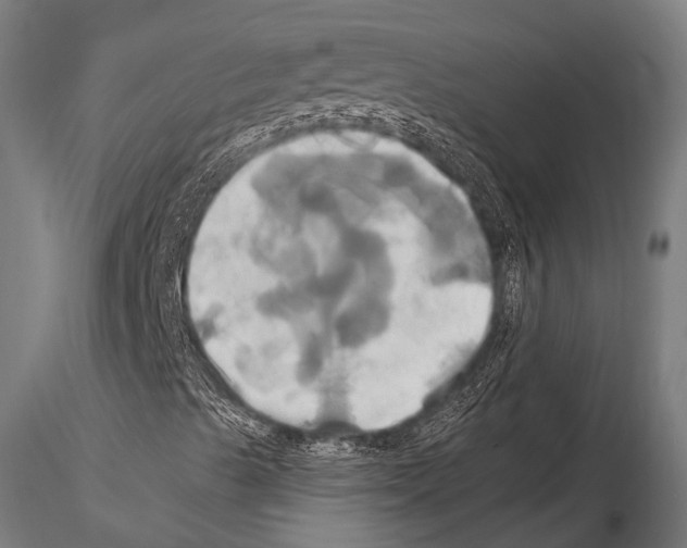 X0000114701489200912021056