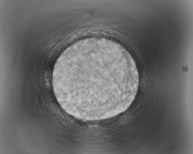 X0000114701490200912021056