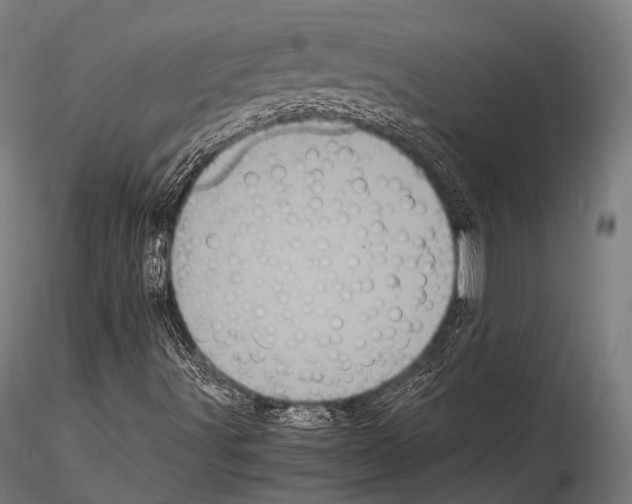 X0000114701491200912021056