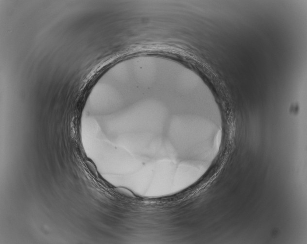 X0000114701497200912021056