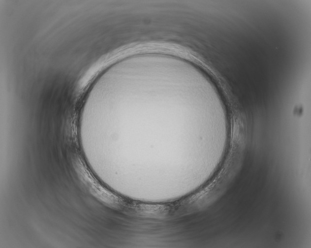 X0000114701498200912021056