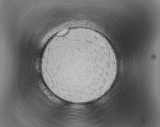 X0000114701499200912021056