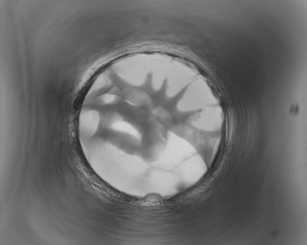 X0000114701501200912021056