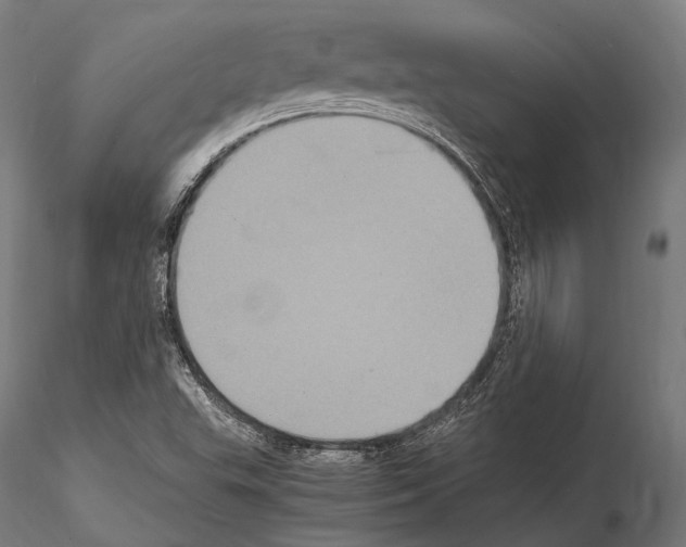 X0000114701503200912021056