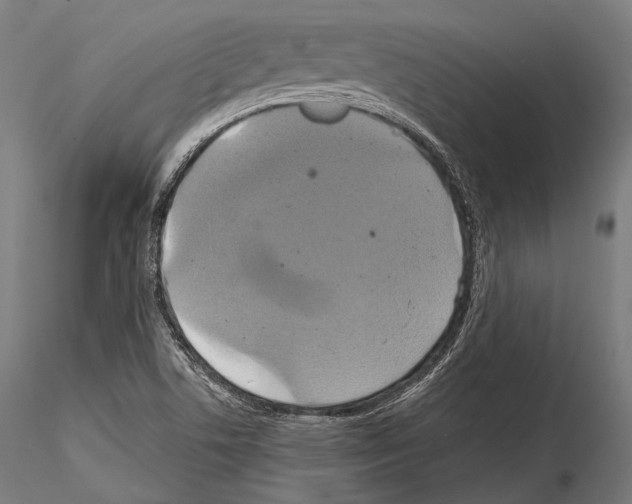 X0000114701506200912021056