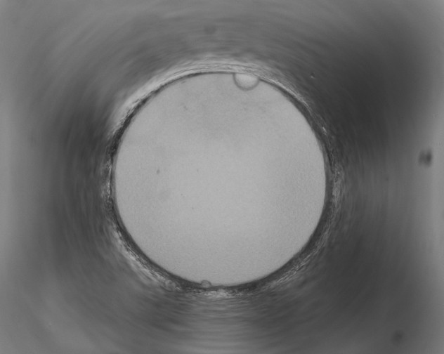 X0000114701507200912021056