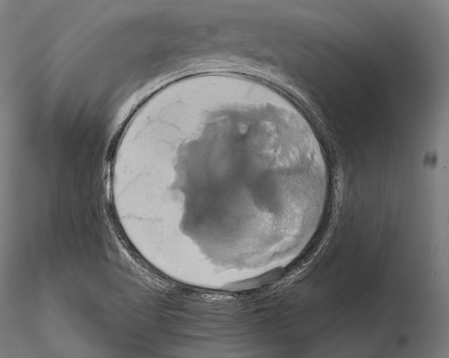 X0000114701509200912021056