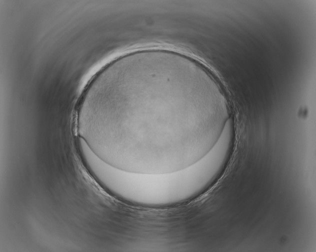 X0000114701510200912021056