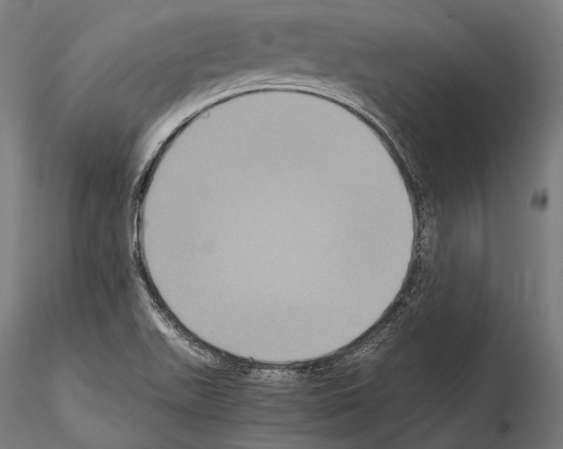 X0000114701511200912021056