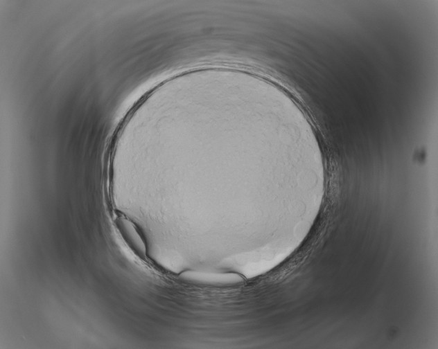 X0000114701515200912021056