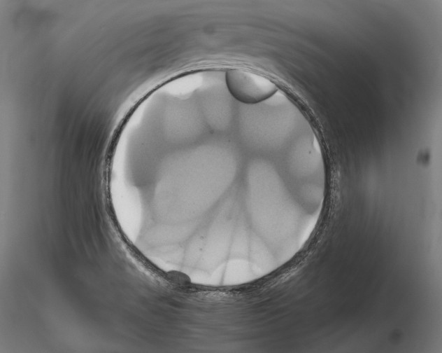 X0000114701517200912021056