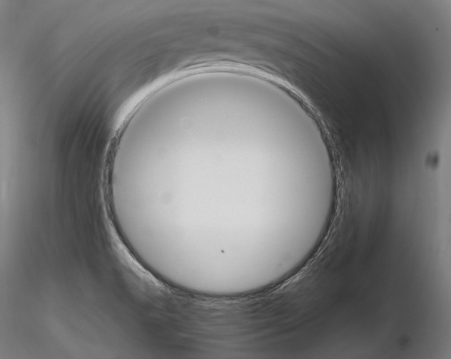 X0000114701518200912021056