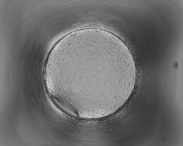 X0000114701519200912021056