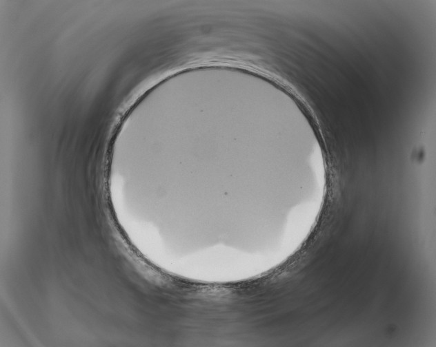 X0000114701525200912021056