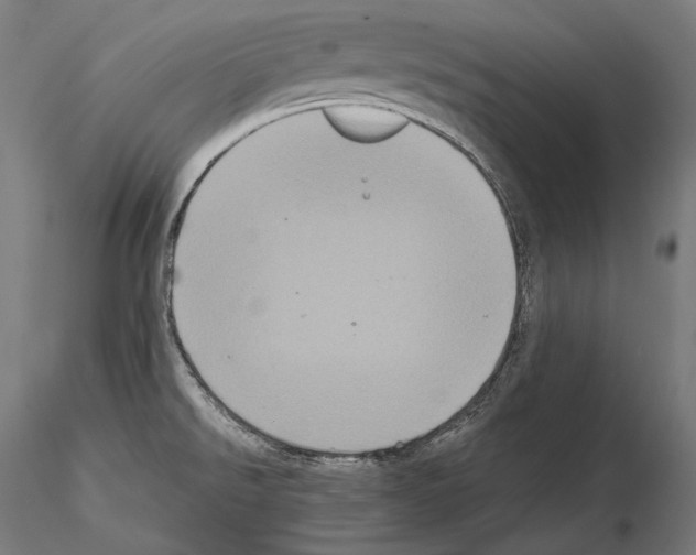 X0000114701526200912021056