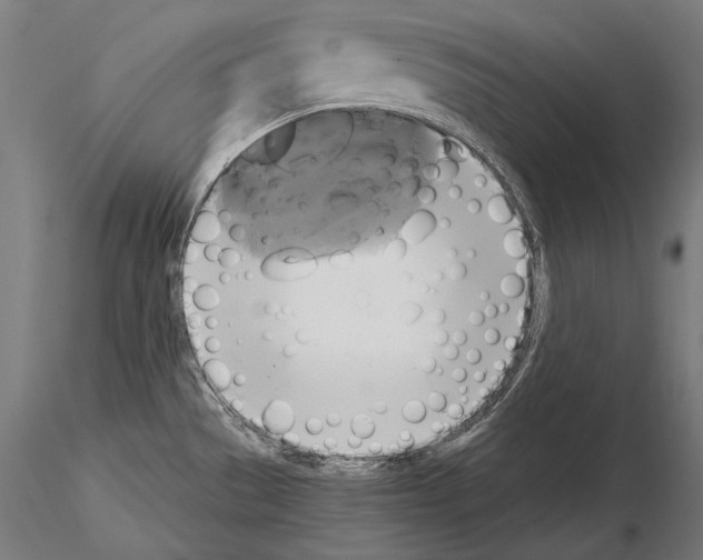 X0000114701529200912021056