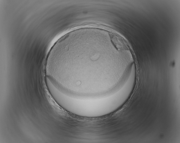 X0000114701530200912021056