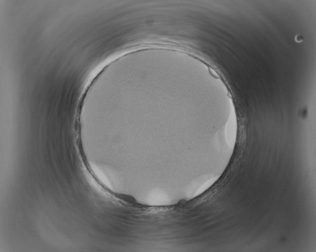 X0000114701531200912021056