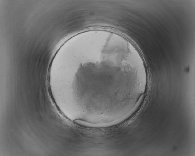 X0000114701533200912021056