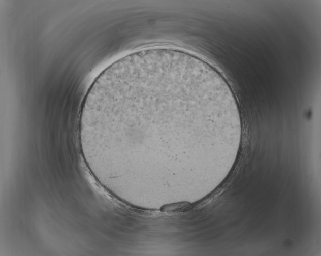 X0000114701534200912021056