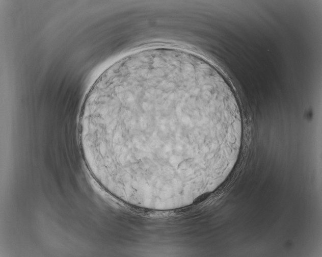 X0000114701535200912021057