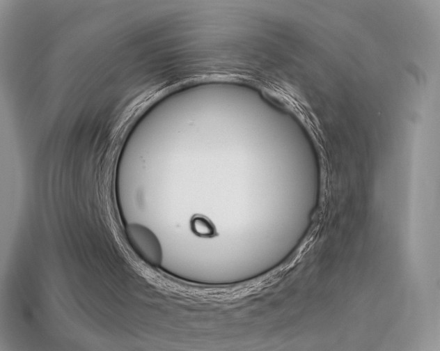 X0000114720001200910211101