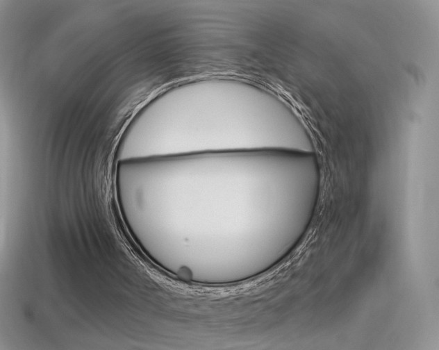 X0000114720002200910211101