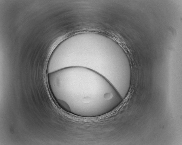 X0000114720003200910211101