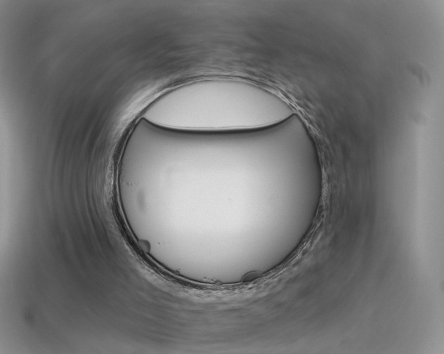 X0000114720005200910211101