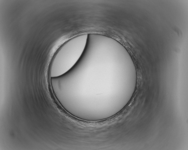 X0000114720006200910211101