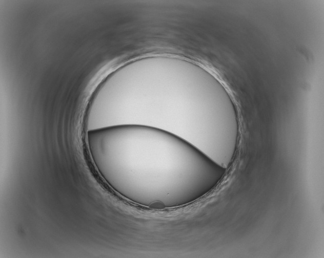 X0000114720007200910211101