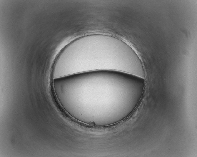 X0000114720008200910211101