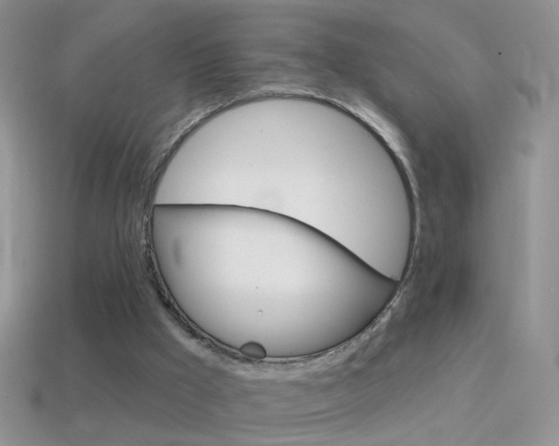 X0000114720009200910211101