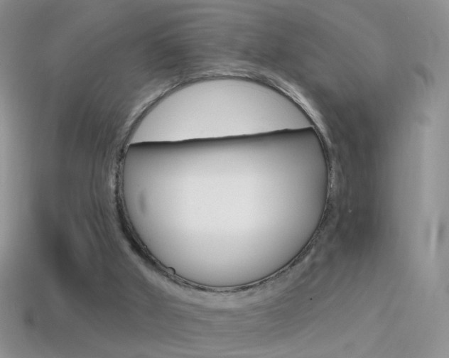 X0000114720010200910211101