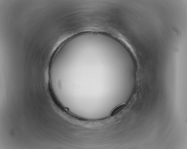 X0000114720011200910211101