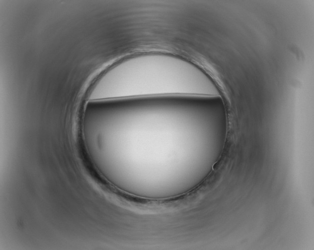 X0000114720012200910211101