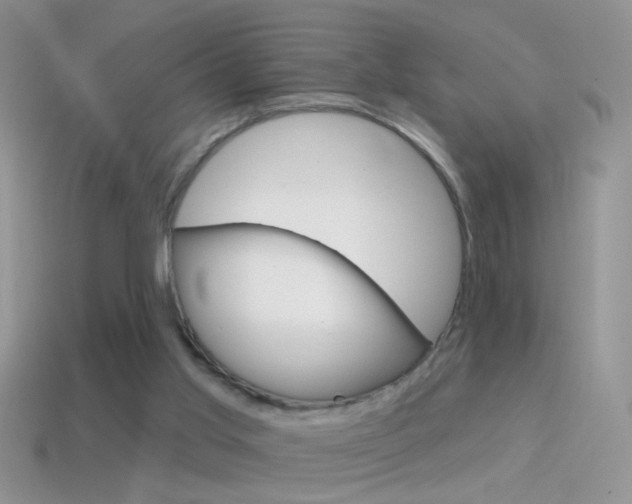 X0000114720013200910211101