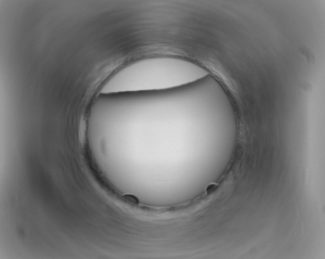 X0000114720014200910211101