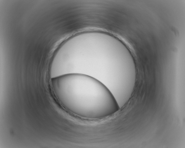 X0000114720015200910211101