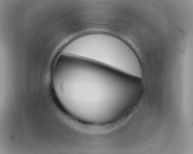 X0000114720016200910211101