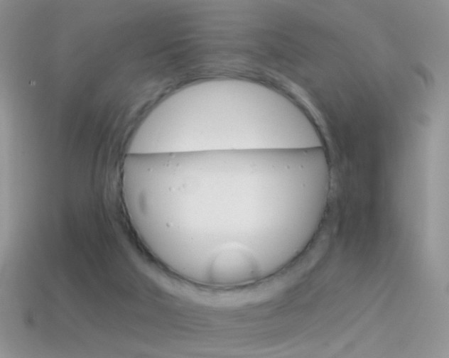 X0000114720018200910211101