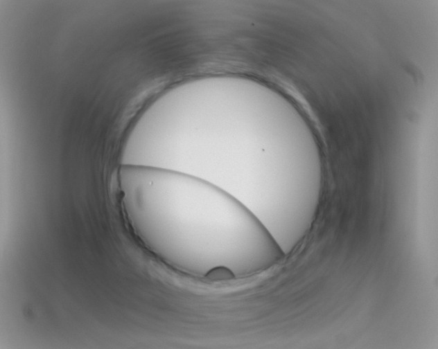 X0000114720019200910211101