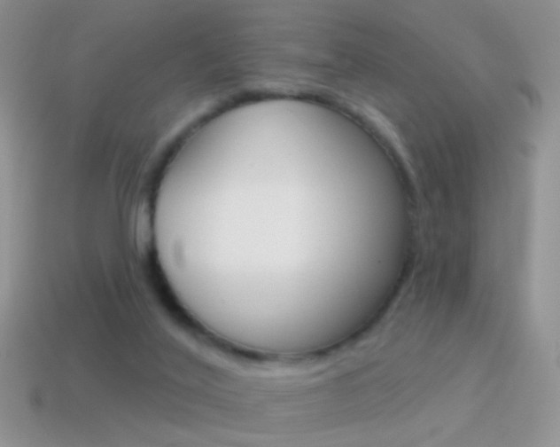 X0000114720020200910211101