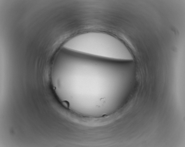 X0000114720023200910211101